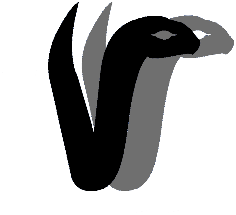 2vyper logo